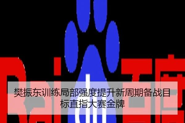 樊振东训练局部强度提升新周期备战目标直指大赛金牌