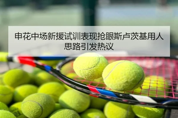 申花中场新援试训表现抢眼斯卢茨基用人思路引发热议
